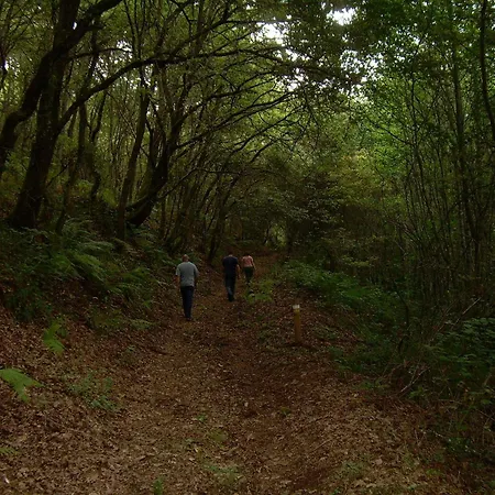 ホテル Rectoral De Castillon