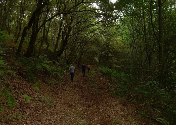 Otel Rectoral De Castillon