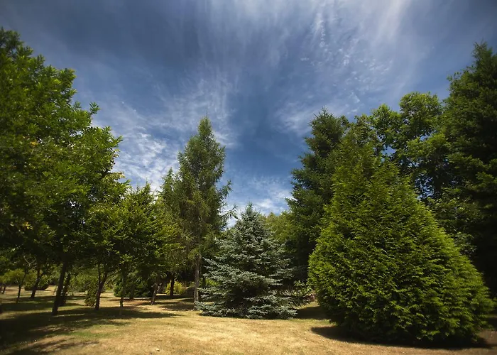 Rectoral De Castillon Otel 3*